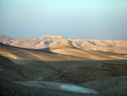 החתונה של שיר וגיל (צילום: נועם וורשבסקי)