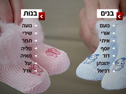 השמות הפופולריים בישראל לשנת 2012 (צילום: חדשות 2)