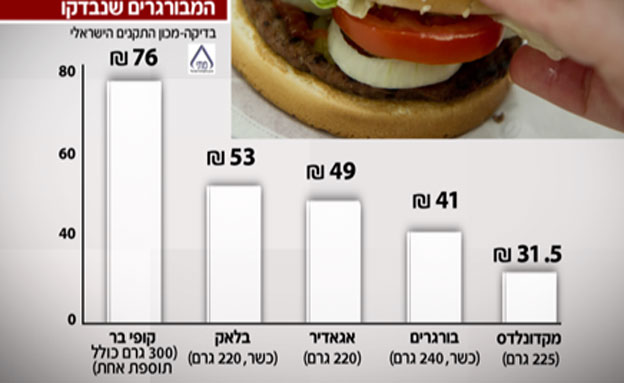 החלבון בהמבורגרים שנבדקו