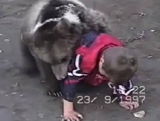 דוב משחק עם ילד (צילום: liveleak.com)