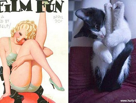 נשים וחתולים (צילום: oddstuffmagazine.com)