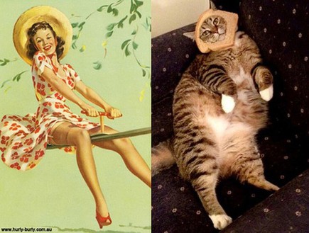 נשים וחתולים (צילום: oddstuffmagazine.com)