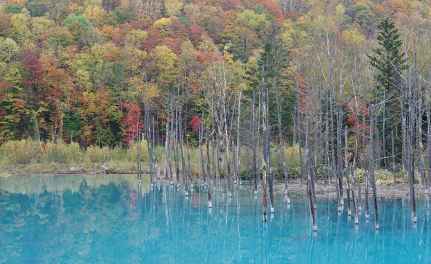 האגם הכחול 1
