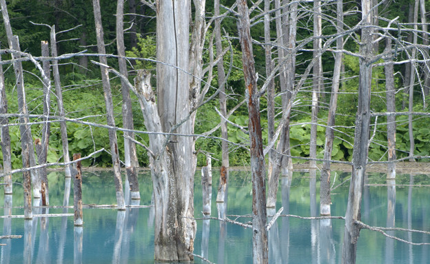 האגם הכחול 2