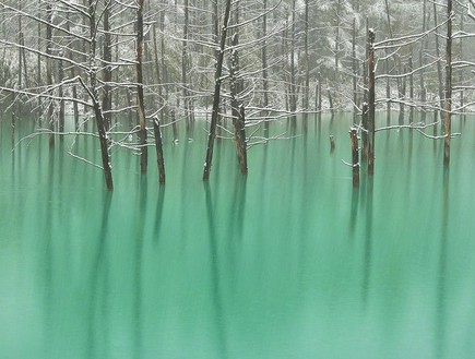 האגם הכחול, (צילום: Kent Shiraishi)