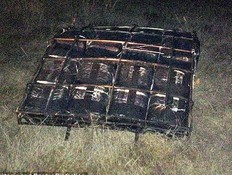 חבילות מריחואנה נפלו ממטוס (צילום: dailymail.co.uk)