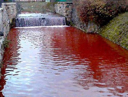נהר הדם (צילום: dailymail.co.uk)