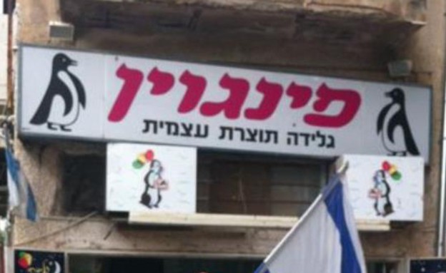 פינגוין צילום ביתי