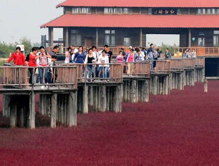 אנשים, חוף אדום סין (צילום: lostateminor.com)