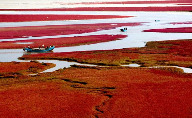 סירה, חוף אדום סין