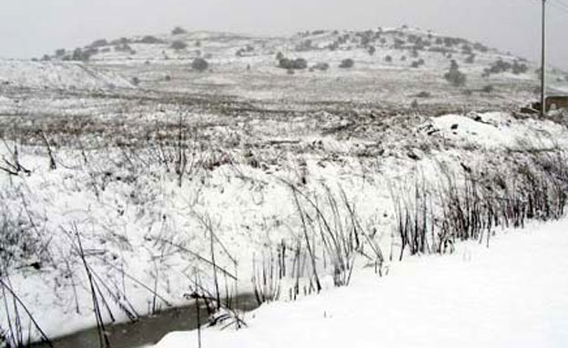 בגולן נערכים לשלג, ארכיון (צילום: שולי אנקונינה)