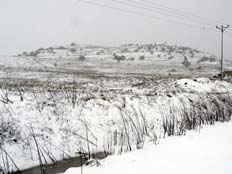 בגולן נערכים לשלג, ארכיון (צילום: שולי אנקונינה)