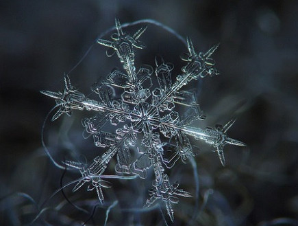 פתיתי שלג במיקרוסקופ (צילום: /geekologie.com/)