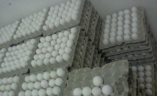 בהן דווקא לא צפוי מחסור. ביצים (צילום: משטרת מחוז ירושלים)