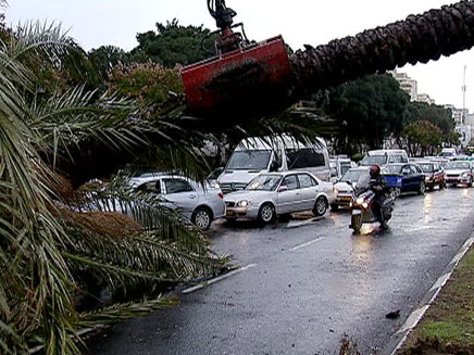 קיבוץ גלויות, חורף