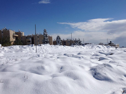 שלג בירושלים (צילום: רינת לוי)