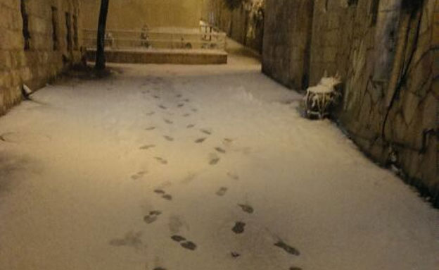 לילה לבן בירושלים (צילום: איציק גרינוולד)