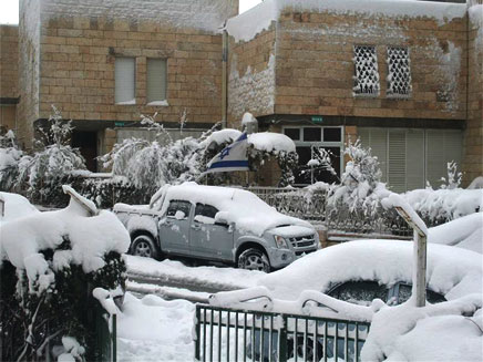 השלג הכבד כיסה את המכוניות (צילום: חגי ונגוש)