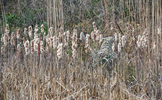 מדי הסוואה RealTree (צילום: קייטרס)