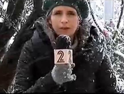 אילנית אדלר