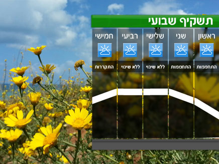 תשקיף