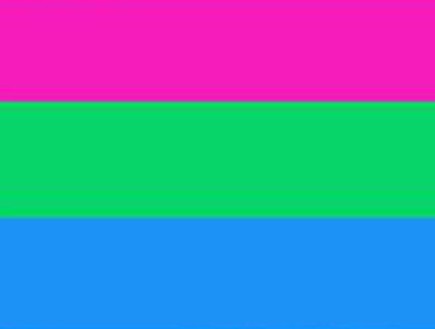 דגל הגאווה - polysexual pride