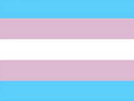 דגל הגאווה - transgender pride
