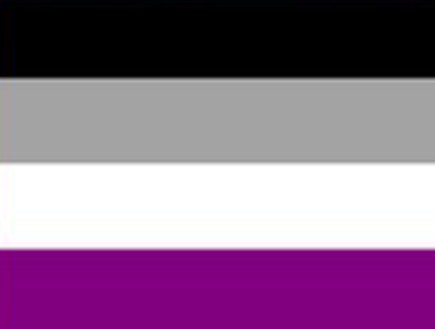 דגל הגאווה - asexual pride