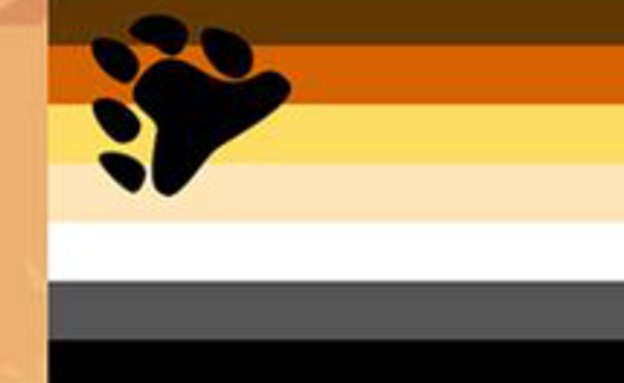 דגל הגאווה - bear brotherhood