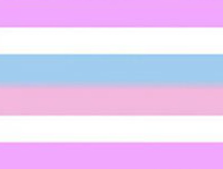 דגל הגאווה - intersexual pride