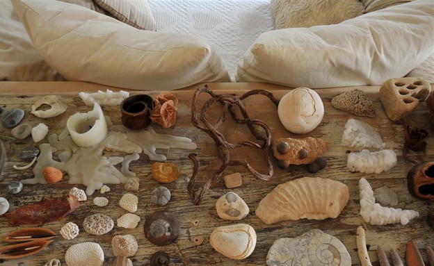 נועה בר לב, סלון צדפים נועה בר לב, סלון צדפים