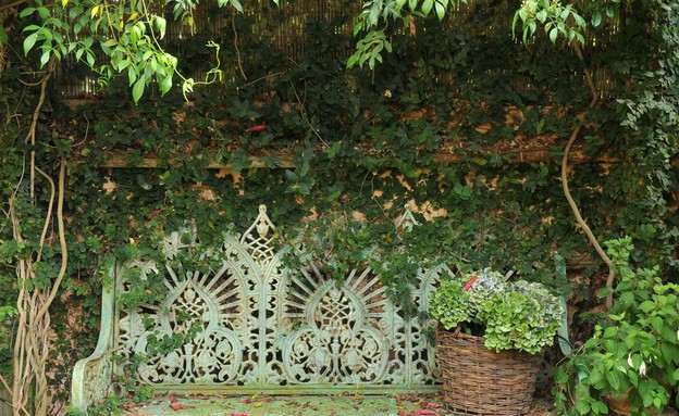 נועה בר לב, חצר ספסל נועה בר לב, חצר ספסל