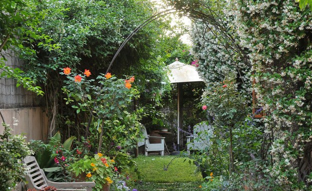 נועה בר לב, חוץ מטפסים נועה בר לב, חוץ מטפסים