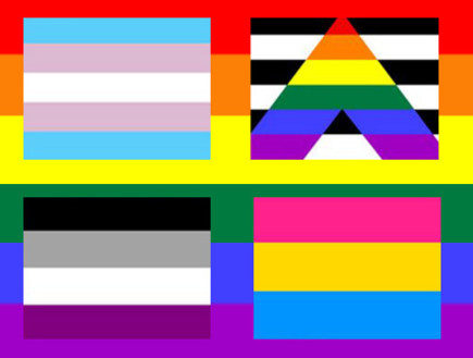 דגלי גאווה 