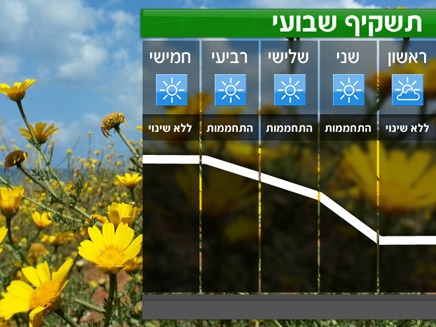 תשקיף