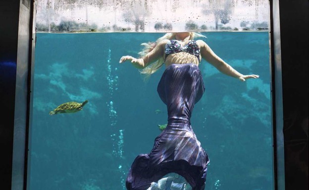 אקווריום, פארק וויקי וואטצ'י