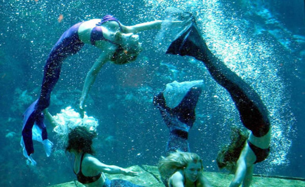 במופע, פארק וויקי וואטצ'י