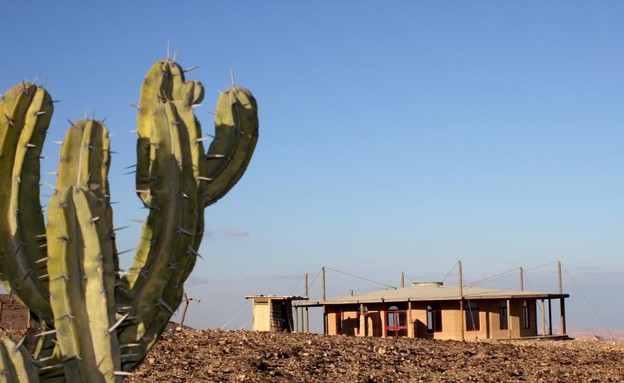 סופש תרבות, זמן מדבר סופש תרבות, זמן מדבר