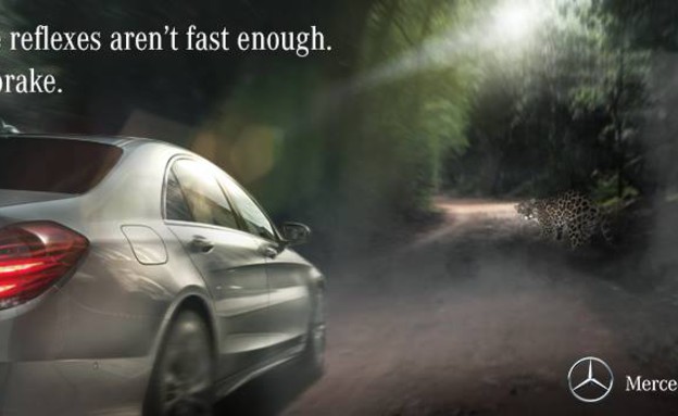 קרב תרנגולים בין מרצדס ליגואר