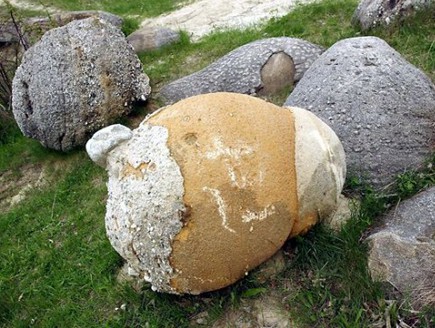 סלע משונה (צילום: odditycentral)