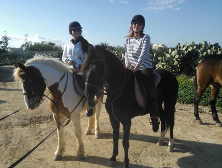 גולדן  ביי, קיץ חורף (צילום: Golden Bay Horse Riding)