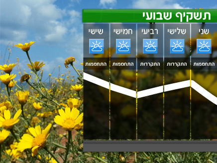 תשקיף