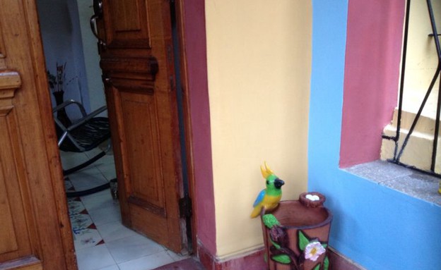 טיהור בית בקובה דלת כניסה (צילום: רחלי גניר)