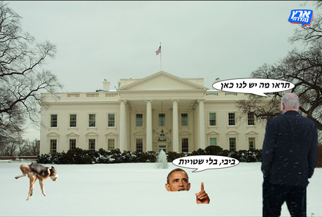 בלי שטויות