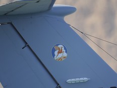 סמל הגמל המעופף (צילום: חיל האוויר)