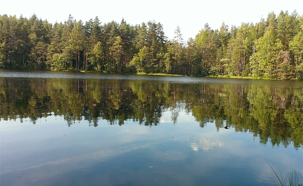 נוף באסטוניה (צילום: שירי רם)