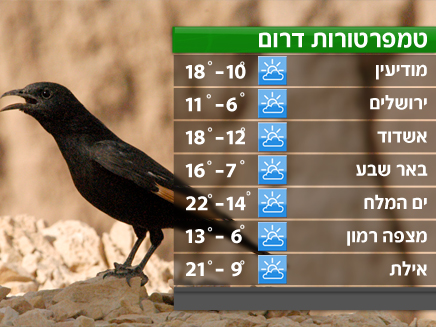 הטמפרטורות בדרום