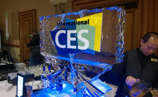 CES 2014 (צילום: יאיר מור | לאס וגאס )