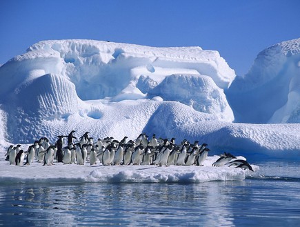 איסמיט, גרינלנד, המקומות הכי קרים (צילום: seetoptens.com)