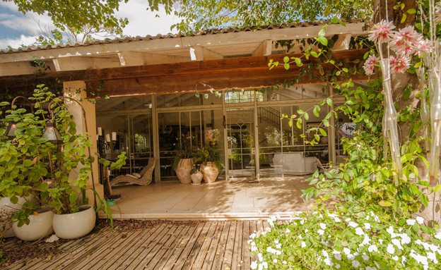 הבית של קובי, חצר דק עציצים הבית של קובי, חצר דק עציצים